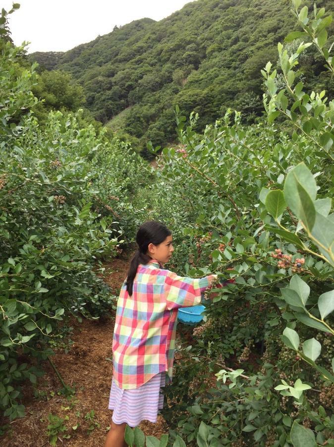 טאנאבה Kumano Winery Guest House מראה חיצוני תמונה